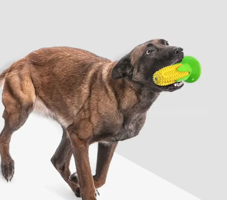 Corn Cob Squeaky Chew Toy – The Cutest  Teeth-Cleaning Fun for Your Pup! Suitable for Small, Medium and Large breeds and agressive chewers!