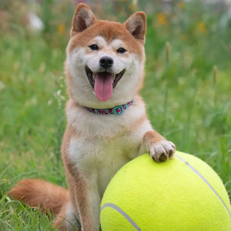 Durable Inflatable Rubber Tennis Ball for Dogs, Pet Chasing Toy Ball, Interactive Pet Toy Ball for Dogs & Cats, Dog Toys, Dog Stuff, Pet Supplies, Pet Products