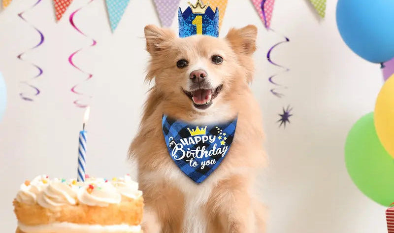 Dog Birthday Bandana Set, Doggie Birthday Party Supplies Decorations (11-Piece Set) with Cute Dog Bow Tie, Crown Hat with Numbers for Small Medium Large Dogs, Blue Dog Birthday Outfit (Blue)