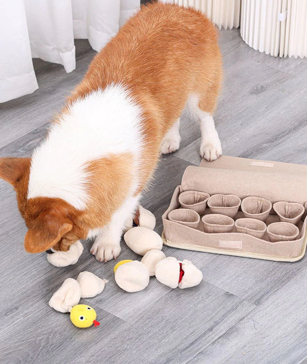 Snuffle Surprise Mat – Interactive Egg Hunt Puzzle for Dogs with Squeaky Plush Toys
