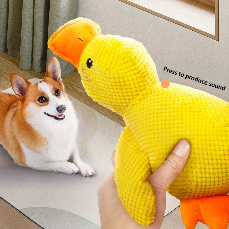 Sunny Duck Squeaky Large Plush for Dogs - Snuggle & Playtime is Fun for Pups - Engaging, Durable Toy for Dogs