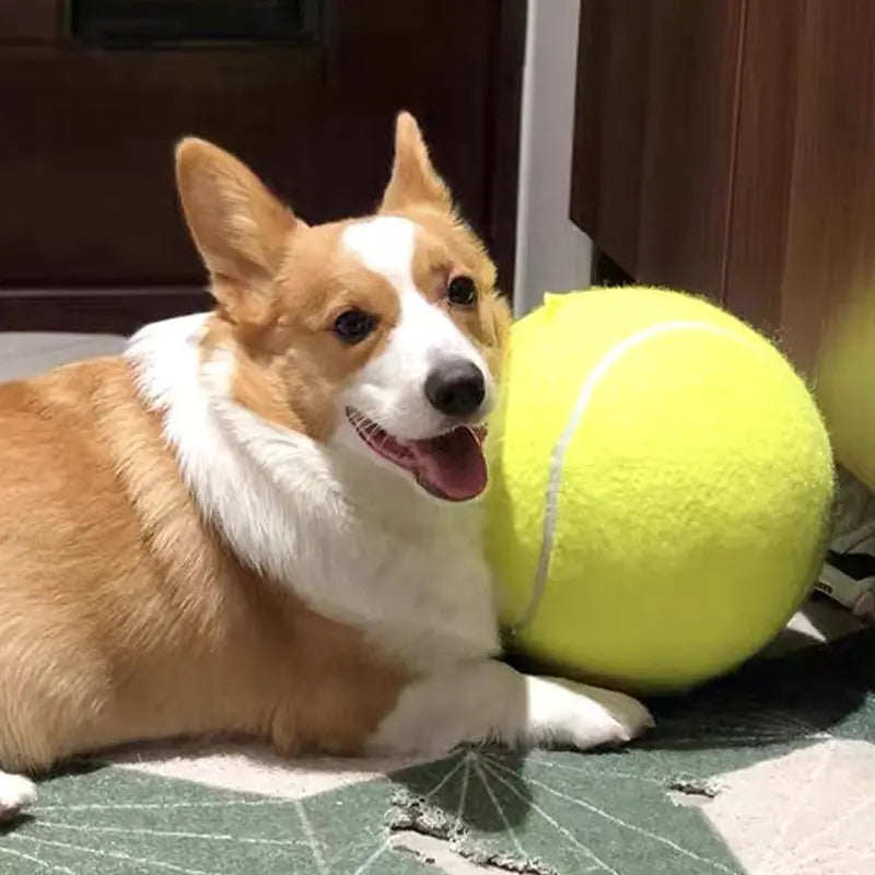 Durable Inflatable Rubber Tennis Ball for Dogs, Pet Chasing Toy Ball, Interactive Pet Toy Ball for Dogs & Cats, Dog Toys, Dog Stuff, Pet Supplies, Pet Products