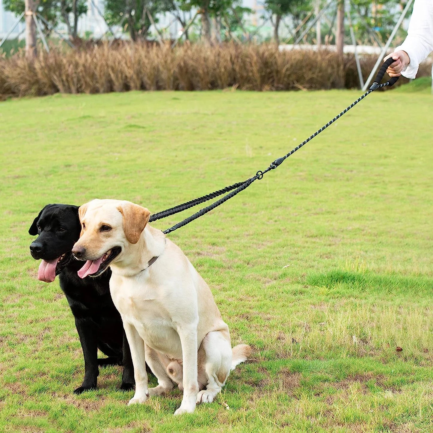Tangle-Free Dual Dog Leash with Bungee – Shock Absorbing, No-Pull Design – Walk Two Dogs, Tangle-Free!