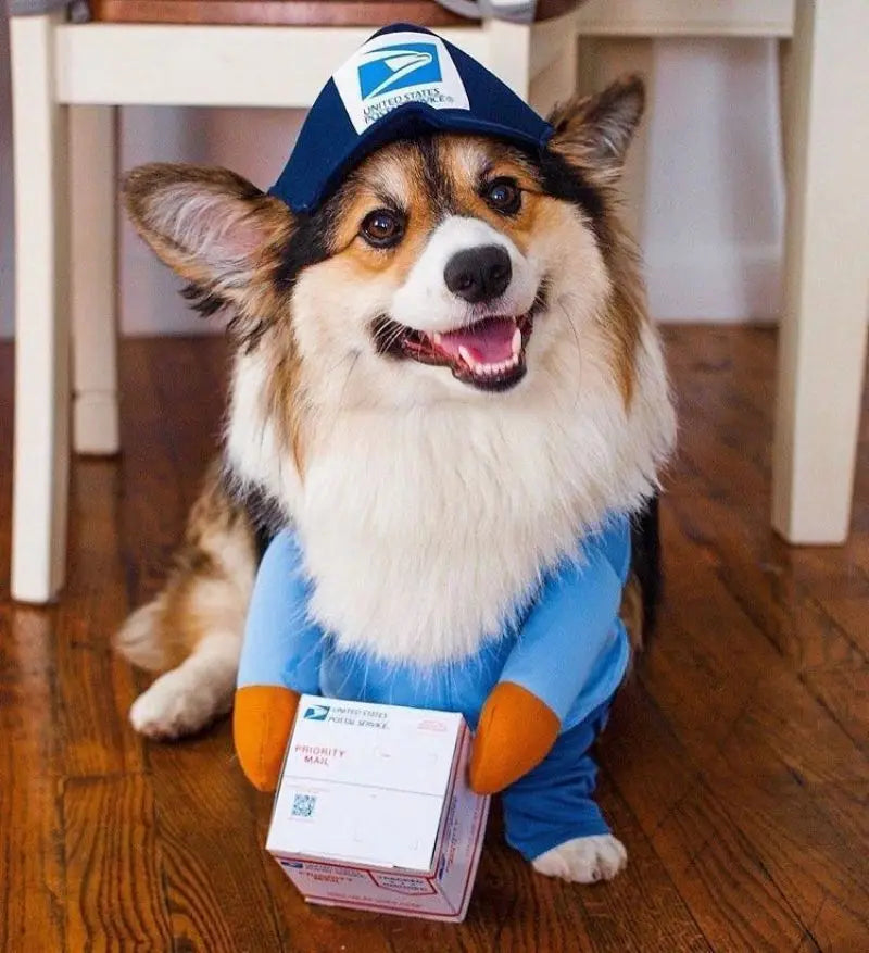 Out for Delivery! Mail Carrier Costume for Dogs