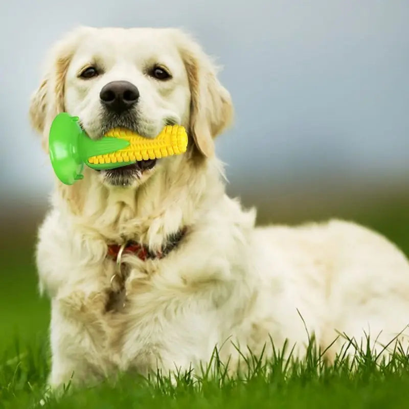 Corn Cob Squeaky Chew Toy – The Cutest  Teeth-Cleaning Fun for Your Pup! Suitable for Small, Medium and Large breeds and agressive chewers!