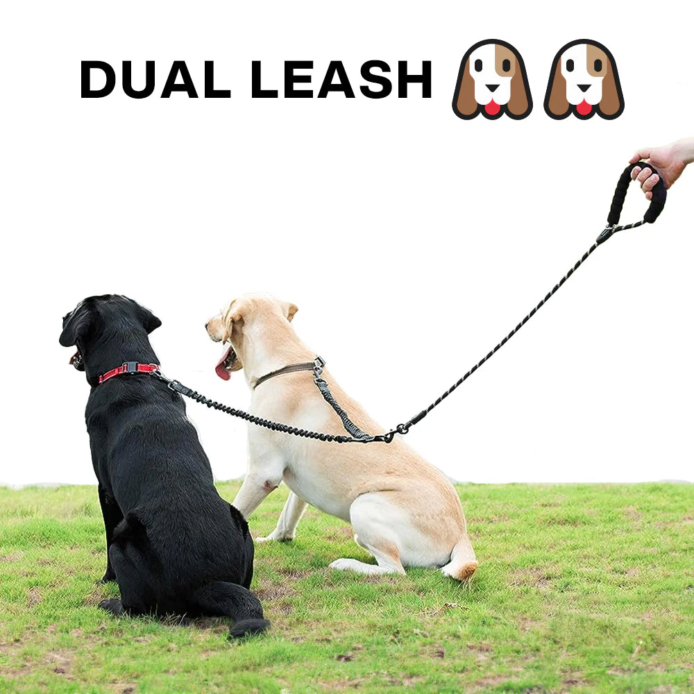 Tangle-Free Dual Dog Leash with Bungee – Shock Absorbing, No-Pull Design – Walk Two Dogs, Tangle-Free!