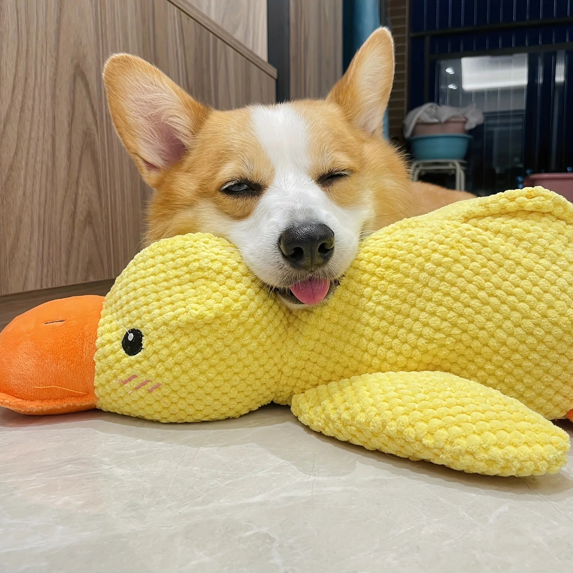 Sunny Duck Squeaky Large Plush for Dogs - Snuggle & Playtime is Fun for Pups - Engaging, Durable Toy for Dogs