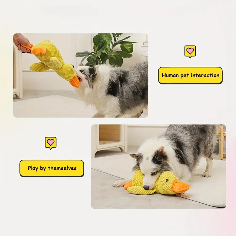 Sunny Duck Squeaky Large Plush for Dogs - Snuggle & Playtime is Fun for Pups - Engaging, Durable Toy for Dogs
