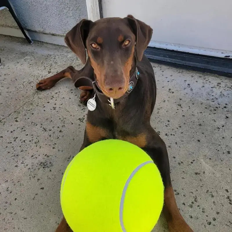 Durable Inflatable Rubber Tennis Ball for Dogs, Pet Chasing Toy Ball, Interactive Pet Toy Ball for Dogs & Cats, Dog Toys, Dog Stuff, Pet Supplies, Pet Products