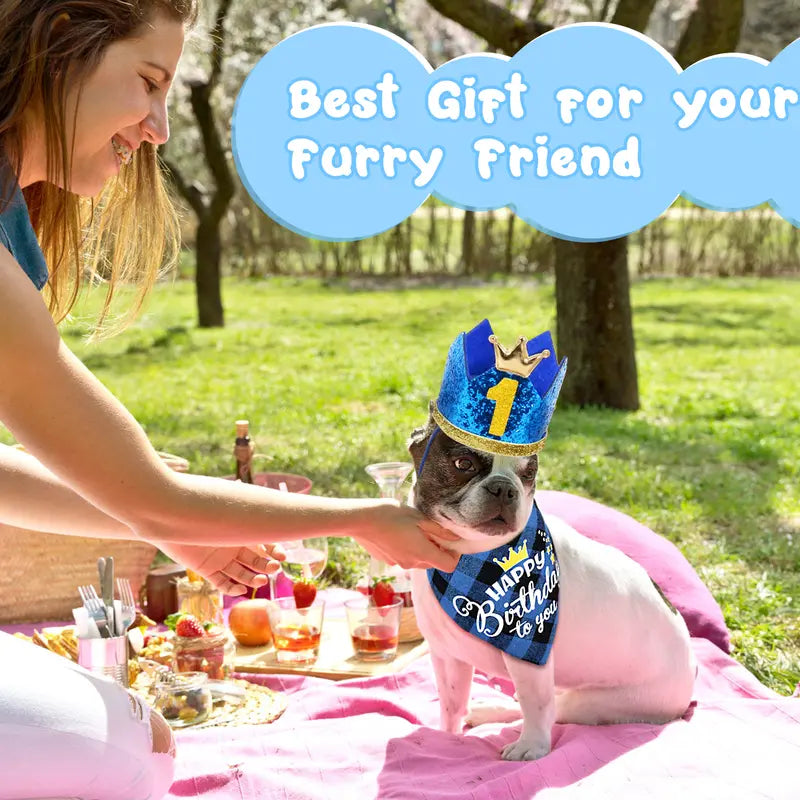 Dog Birthday Bandana Set, Doggie Birthday Party Supplies Decorations (11-Piece Set) with Cute Dog Bow Tie, Crown Hat with Numbers for Small Medium Large Dogs, Blue Dog Birthday Outfit (Blue)