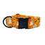Halloween Ghost Dog Collar