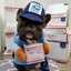 Out for Delivery! Mail Carrier Costume for Dogs