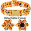 Pawsome Halloween Collar with Bowtie and Coordinating Options - Mix, Match & Strut in Style! 🎃 XXS, XS, S, M, L, XL