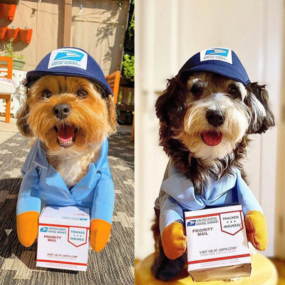 Out for Delivery! Mail Carrier Costume for Dogs